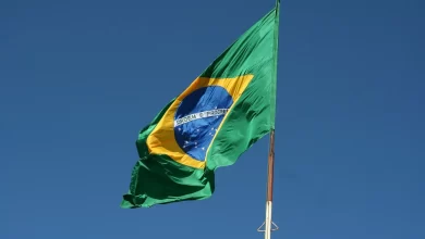 8 Aplicativos para acompanhar a Política Brasileira
