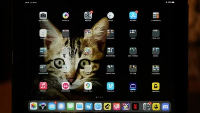 Siri vs Google Assistant: qual é o melhor assistente virtual?