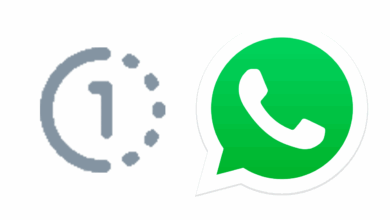 modo visualização única do whatsapp