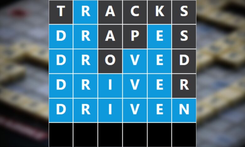 nerdle puzzle example
