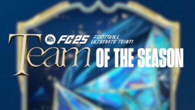EA FC 25 Team of the Season