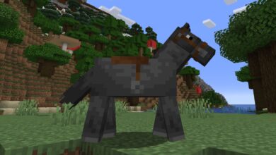 MINECRAFT BEST SEEDS