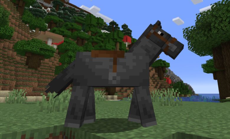 MINECRAFT BEST SEEDS