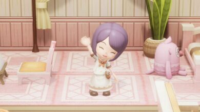 Fantasy Life i active codes