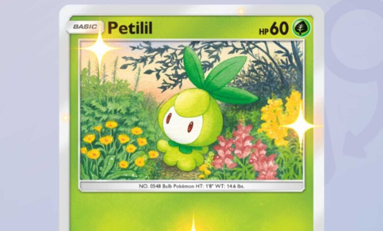 A screenshot featuring Pokemon TCG Pocket Promo Cards.