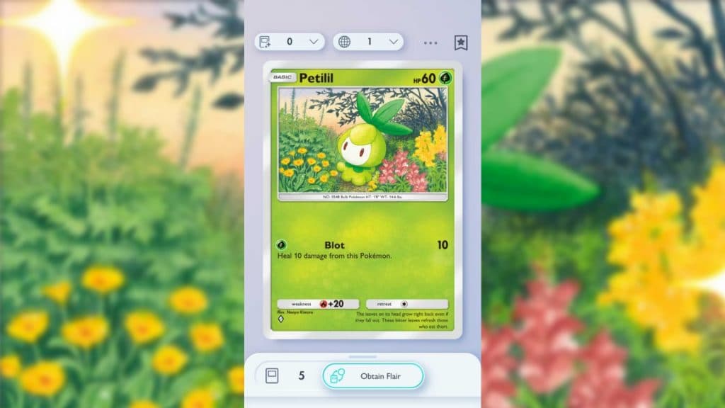 Bolso pokemon o que é talento
