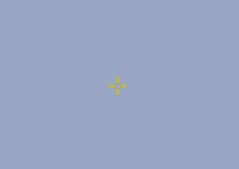Sr. Crosshair
