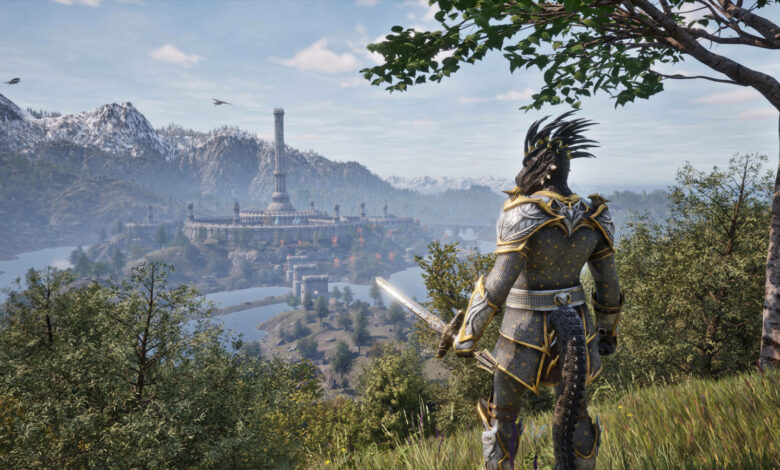 Oblivion fighting