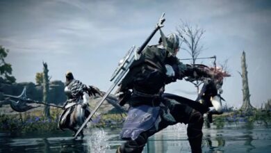 Elden Ring Nightreign players fighting
