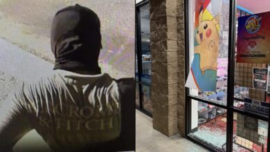 hammer thugs steal pokemon cards