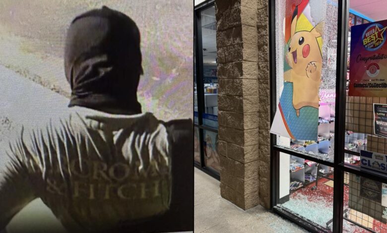 hammer thugs steal pokemon cards